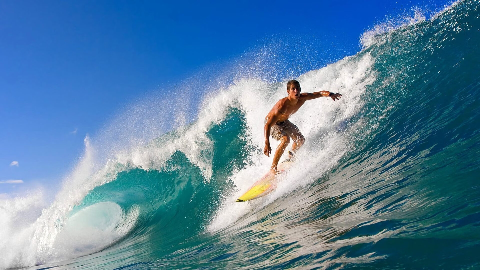 超越红土，纳达尔ATP总决赛力克法网，诠释硬地高光传奇